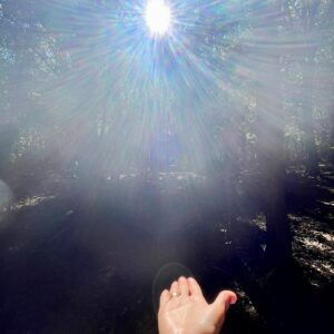 Aurora's Light Network